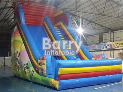 PVC Tarpaulin Outdoor Fantasy Disney Inflatable Slide China  BY-DS-033